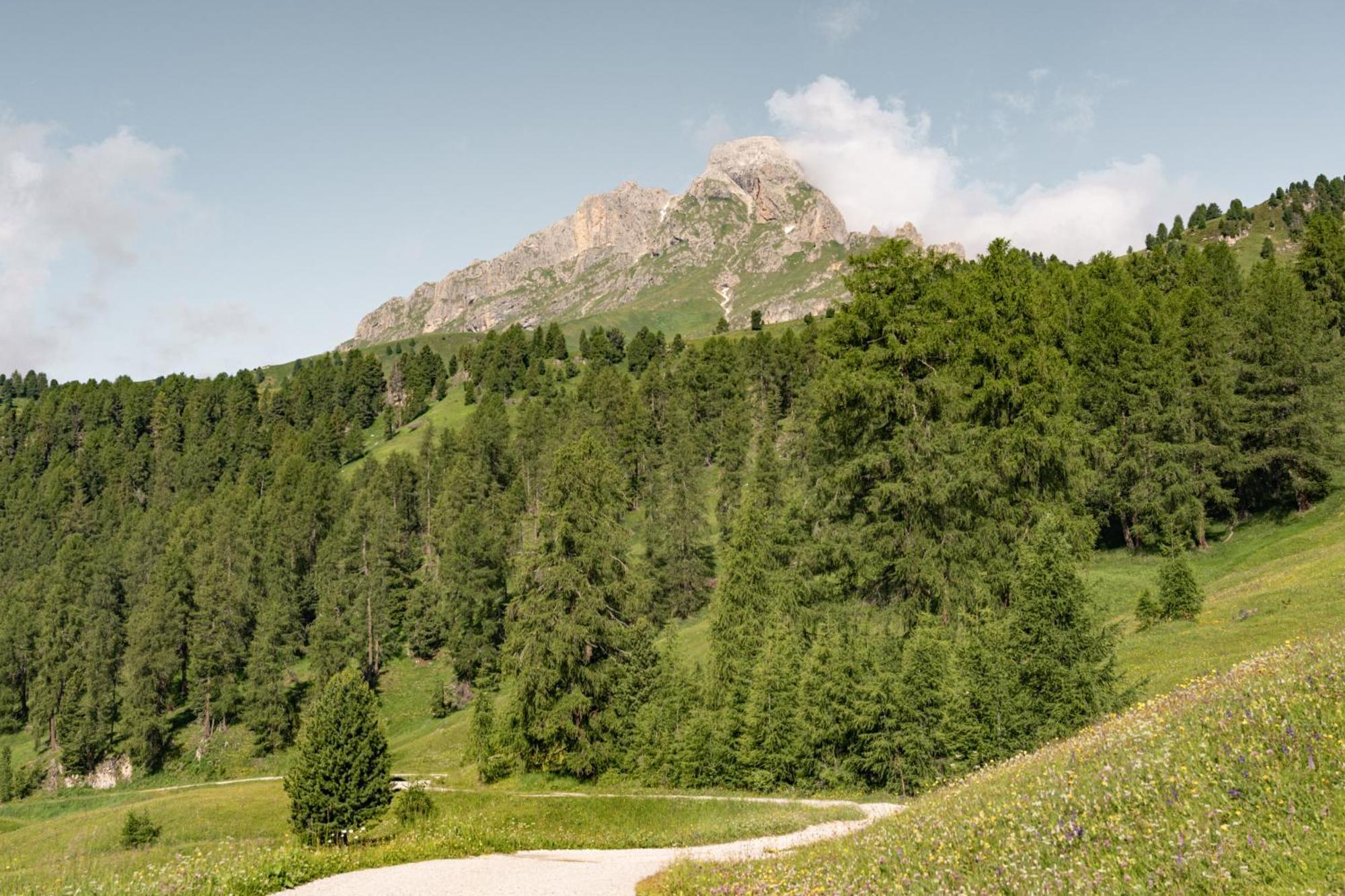 圣马蒂诺-因巴迪亚Ciasa Iachin - Dolomites Dream Retreat公寓 外观 照片