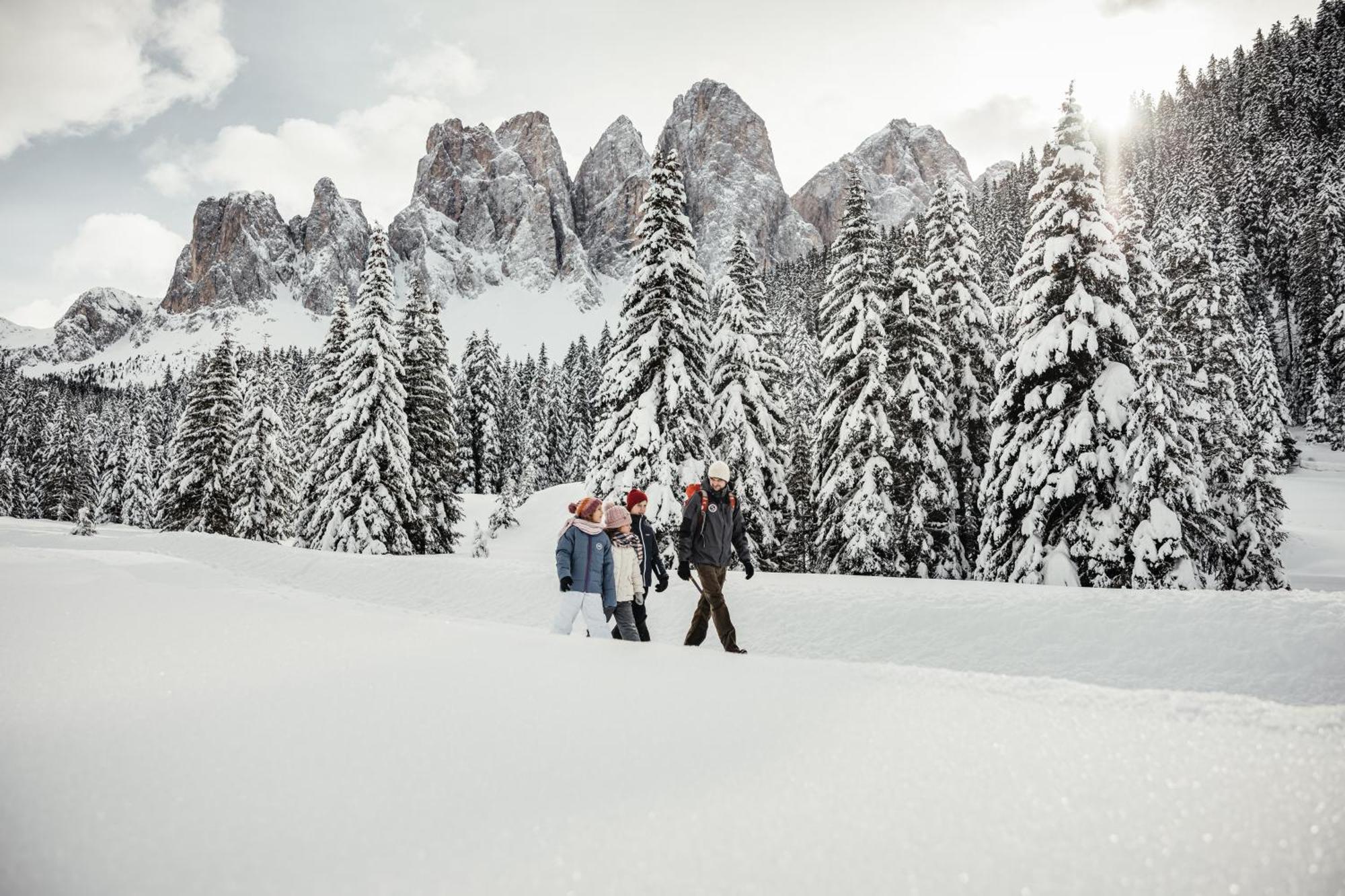 圣马蒂诺-因巴迪亚Ciasa Iachin - Dolomites Dream Retreat公寓 外观 照片