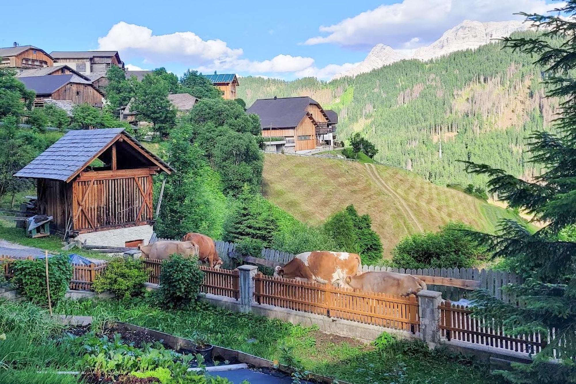 圣马蒂诺-因巴迪亚Ciasa Iachin - Dolomites Dream Retreat公寓 外观 照片
