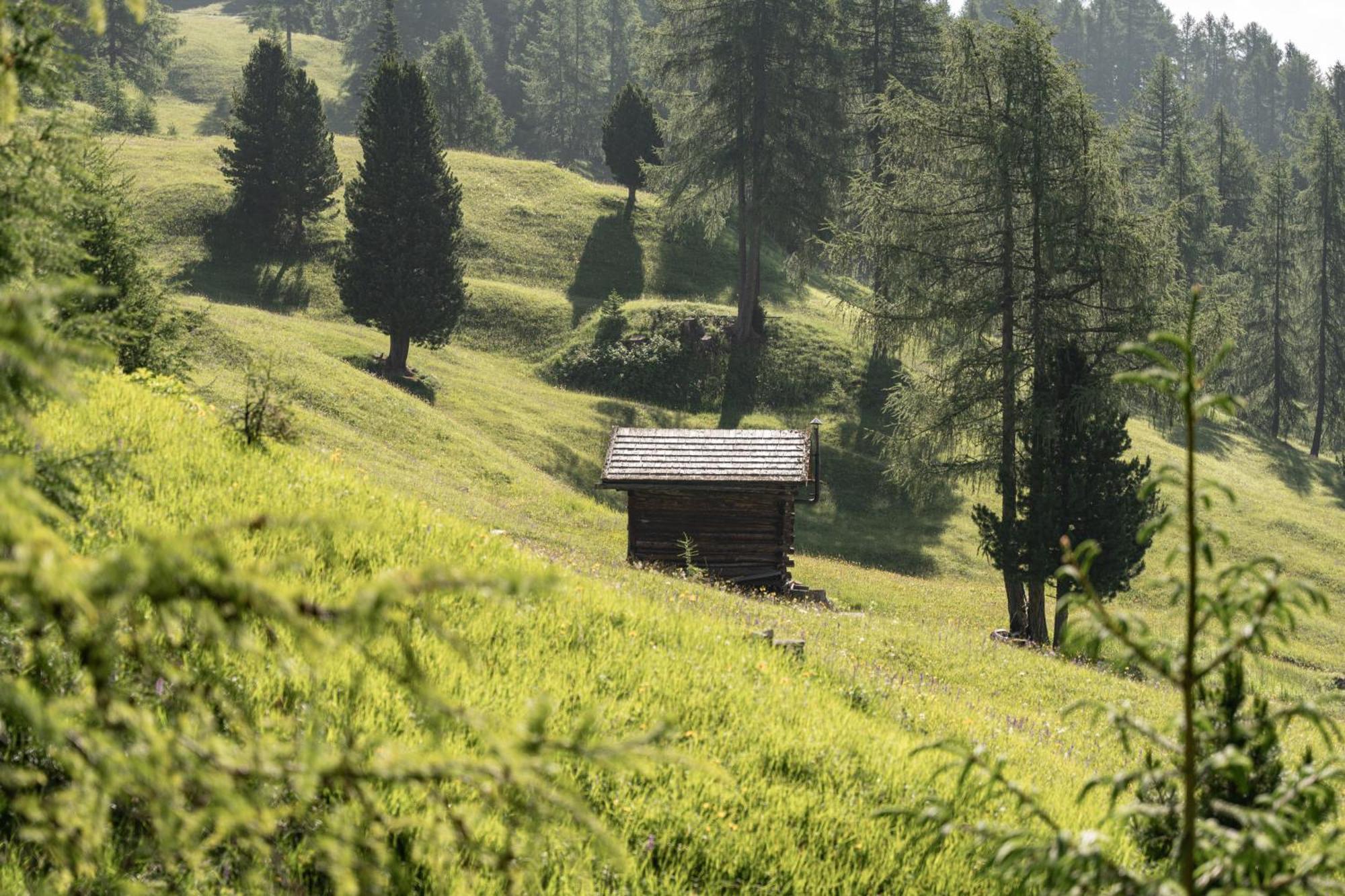 圣马蒂诺-因巴迪亚Ciasa Iachin - Dolomites Dream Retreat公寓 外观 照片