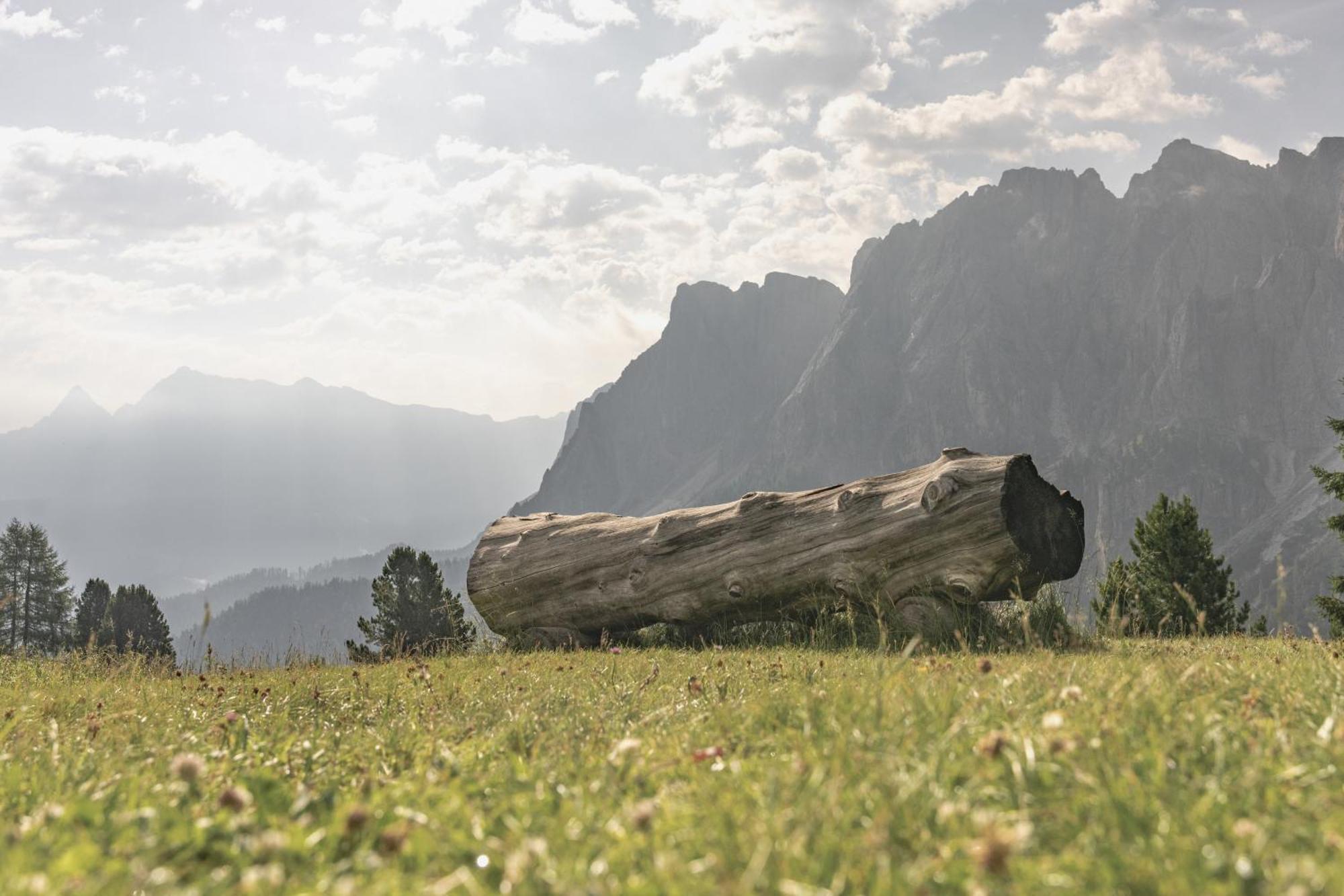 圣马蒂诺-因巴迪亚Ciasa Iachin - Dolomites Dream Retreat公寓 外观 照片