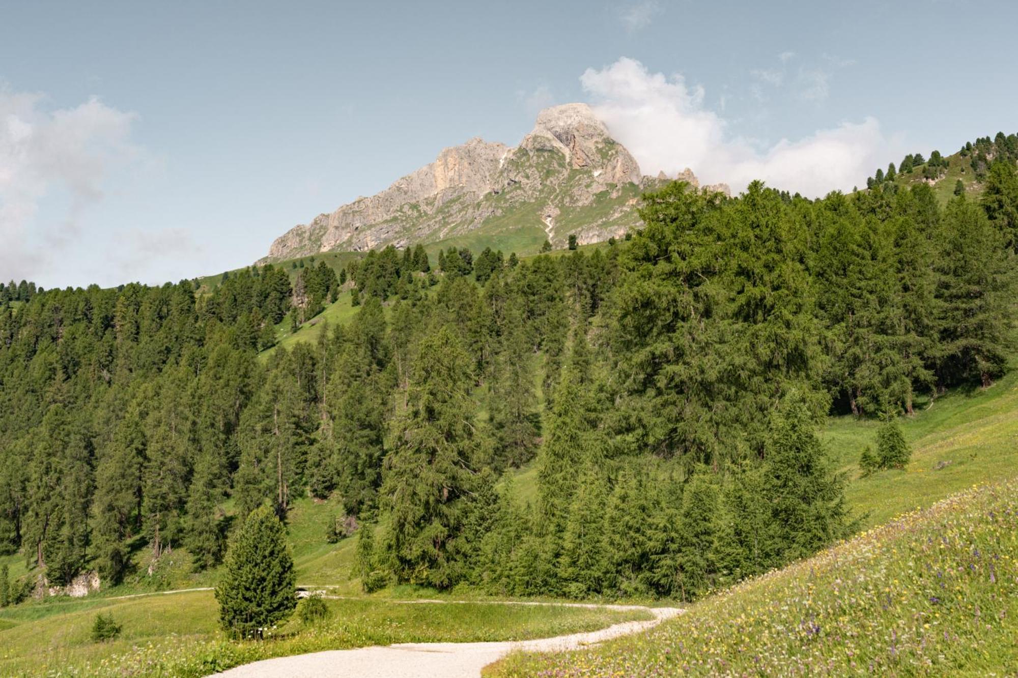 圣马蒂诺-因巴迪亚Ciasa Iachin - Dolomites Dream Retreat公寓 外观 照片