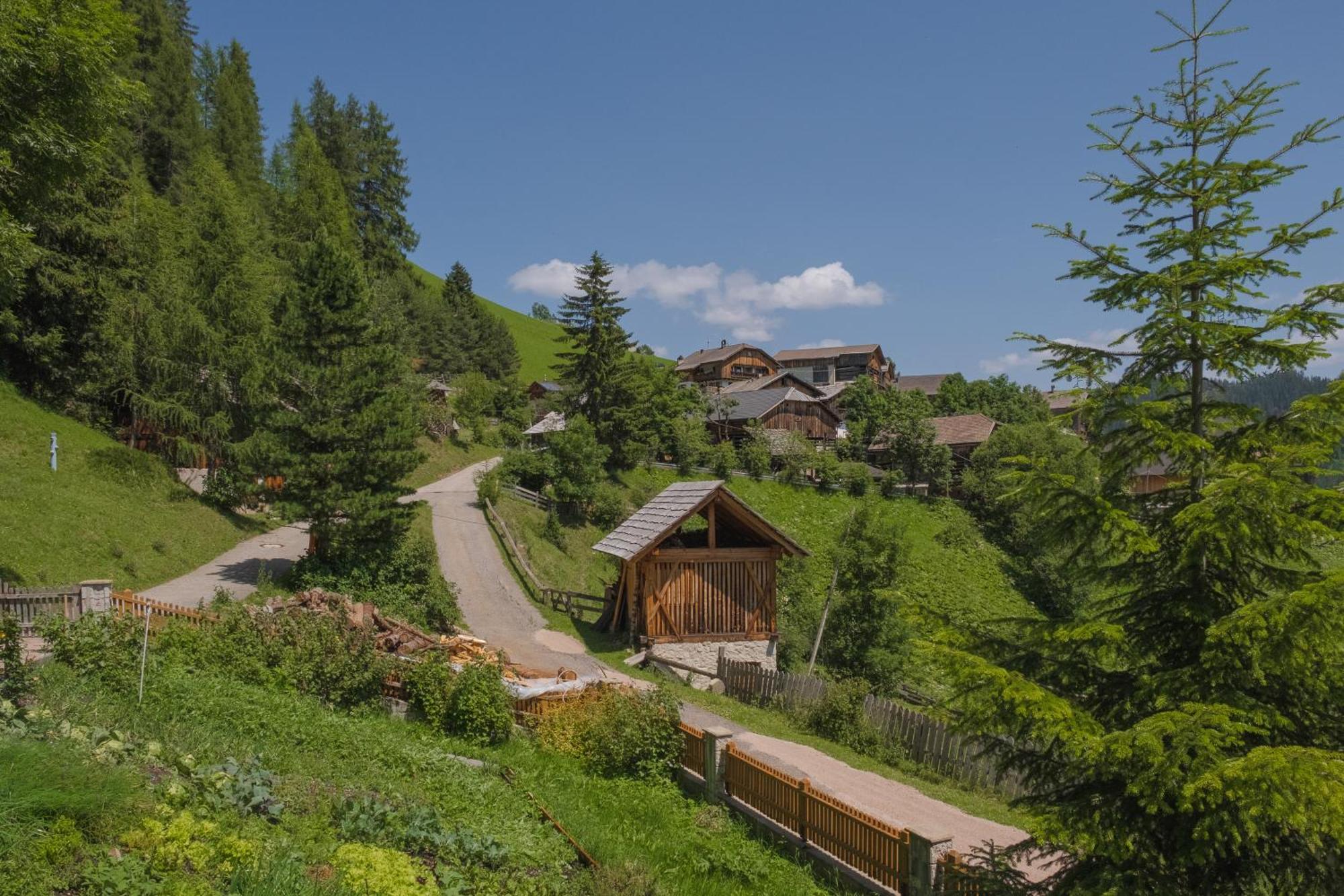 圣马蒂诺-因巴迪亚Ciasa Iachin - Dolomites Dream Retreat公寓 外观 照片