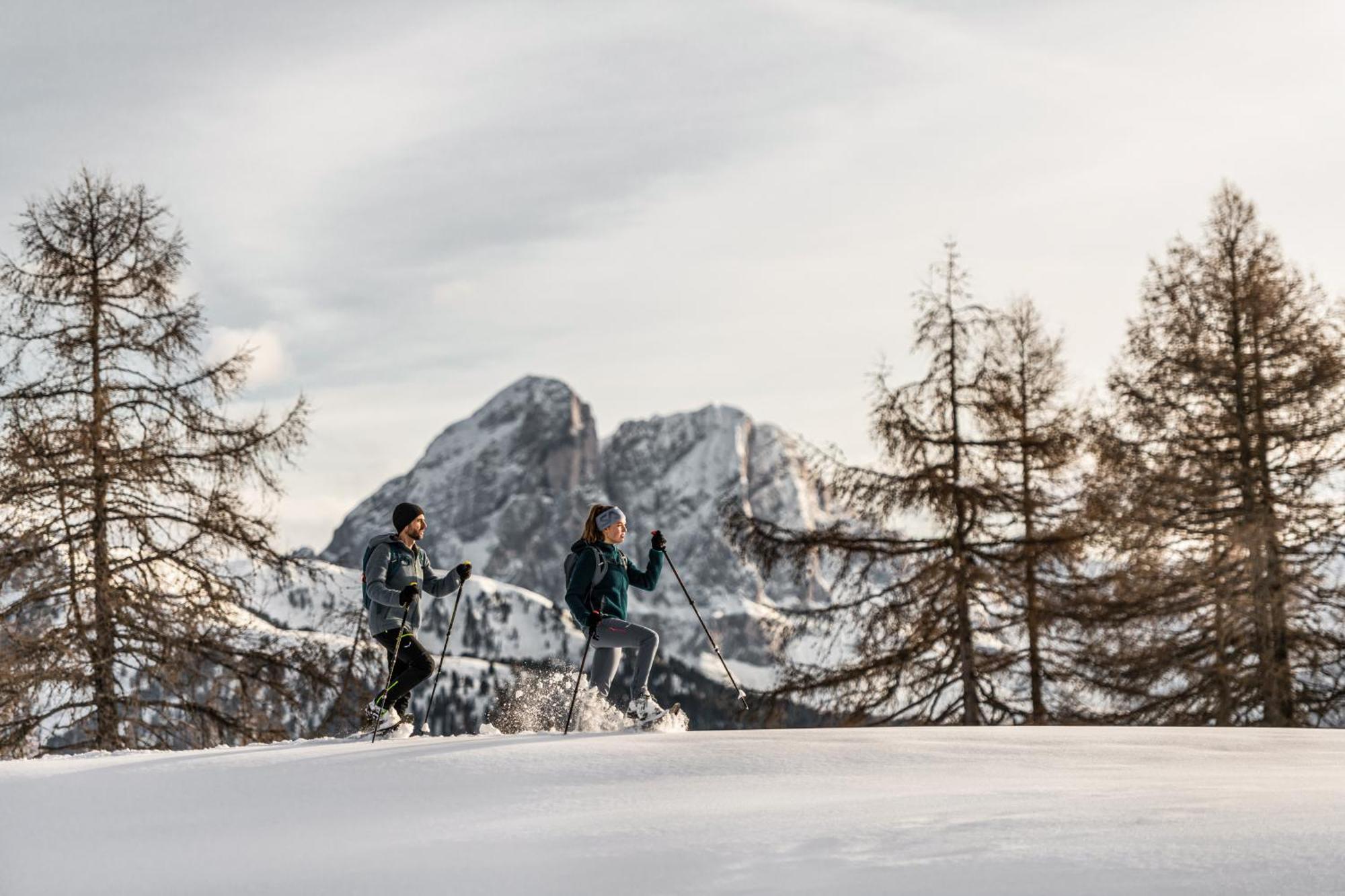 圣马蒂诺-因巴迪亚Ciasa Iachin - Dolomites Dream Retreat公寓 外观 照片