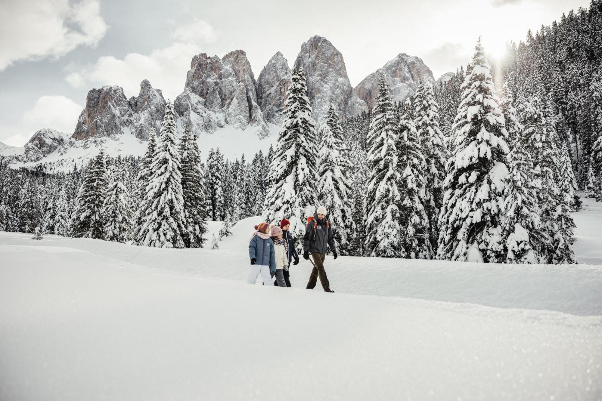 圣马蒂诺-因巴迪亚Ciasa Iachin - Dolomites Dream Retreat公寓 外观 照片